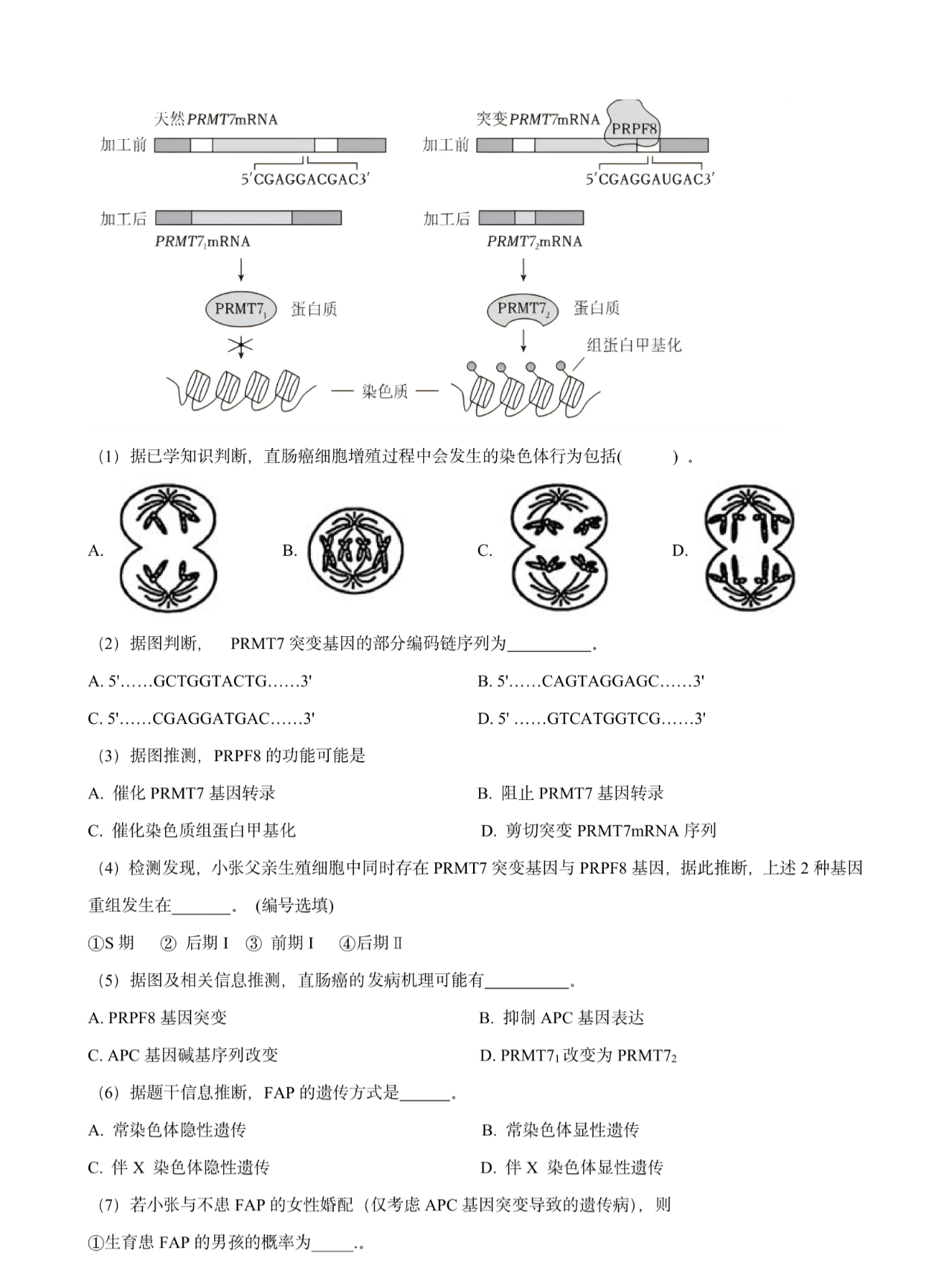 image_1759043500771.png